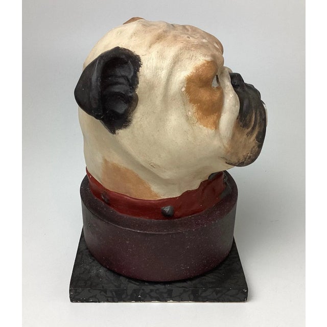English Bulldog Head Papier-mâché Collar Box For Sale In Philadelphia - Image 6 of 11