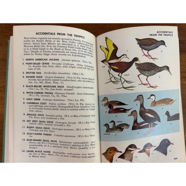 Teal 1980s Peterson Field Guide to Birds For Sale - Image 8 of 10