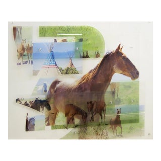 "Mud" - Uv Inks Printed on Acrylic by Maeve Eichelberger For Sale