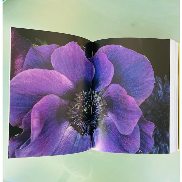 Nobuyoshi Araki, Self Life Death, First Edition, Signed, Limited Edition 91/100 Book For Sale - Image 11 of 12