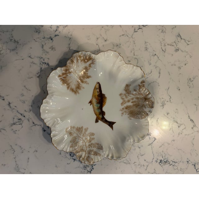 Antique Plates Limoges Gold Rimmed (14 Piece Set) For Sale - Image 15 of 17