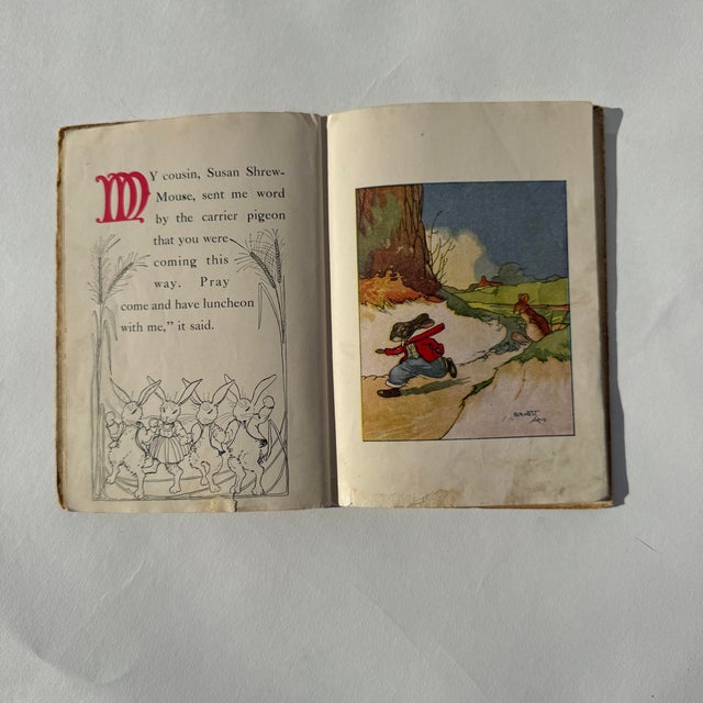 American 1917 “Peter Rabbit and His Ma” Children’s Book For Sale - Image 3 of 7