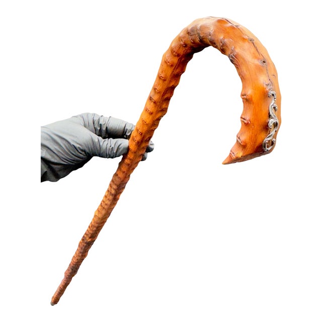 Antique Victorian Brussel Sprout Stalk Walking Stick, Sterling Silver Adornment For Sale