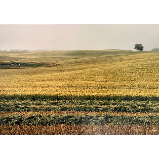 1990s 1992 Maxwell Mackenzie, Farm Summer Landscape, Large Panoramic Vintage Color Photograph For Sale - Image 5 of 7