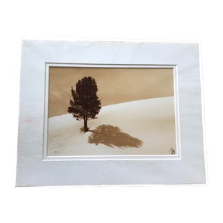Late 20th Century “Nature’s Sun Dial” Landscape Photograph by Ronald A. Grobert For Sale