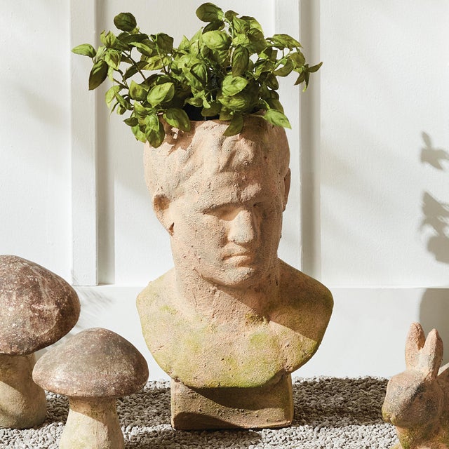 Weathered Garden Male Bust Planter For Sale - Image 11 of 13