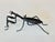 Large Japanese Articulate Bronze Praying Mantis Jizai Yasunosuke Ryubundo VI For Sale - Image 4 of 14