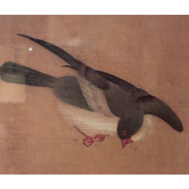 Vintage Tosa Mitsuoki "Birds Hovering Over Blooming Branches" Framed Art Print For Sale - Image 4 of 6