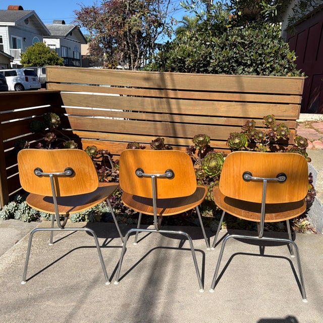 Vintage 1990s Eames DCM-style Molded Plywood Dining Chairs Purchased From Grot Modern Furniture in Redondo Beach. For Sale - Image 11 of 12