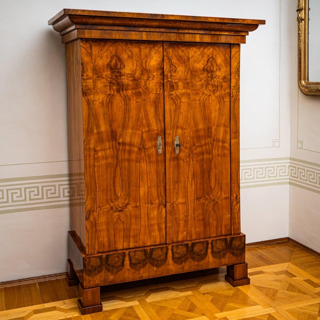 Brown Antique Biedermeier Wardrobe, 1825 For Sale - Image 8 of 8