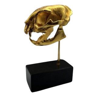 Golden Cat Skull Desk Sculpture on Black Marble Base For Sale