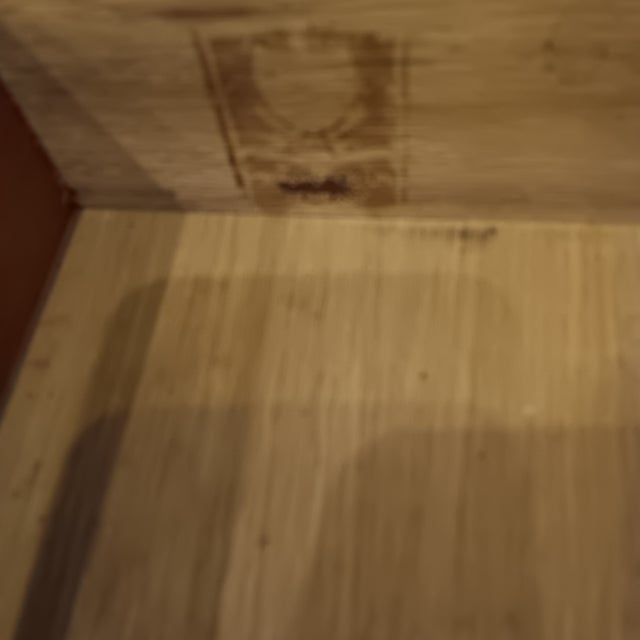 Mid 20th Century Hickory Chair Co. Vintage Mahogany Queen Anne Style Lowboy Dresser For Sale - Image 10 of 15