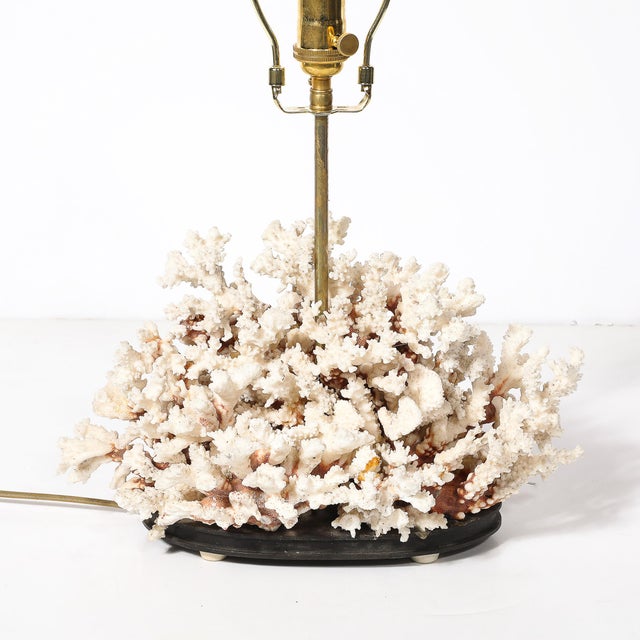 Mid-Century Modern Mid-Century Modernist Coral Table Lamp With Walnut Base & Brass Fittings For Sale - Image 3 of 10