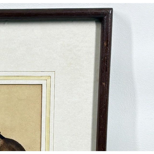 The Maimon, or Pig-Tailed Baboon - An Exceptional 18th-Century Natural History Engraving For Sale In Portland, OR - Image 6 of 11