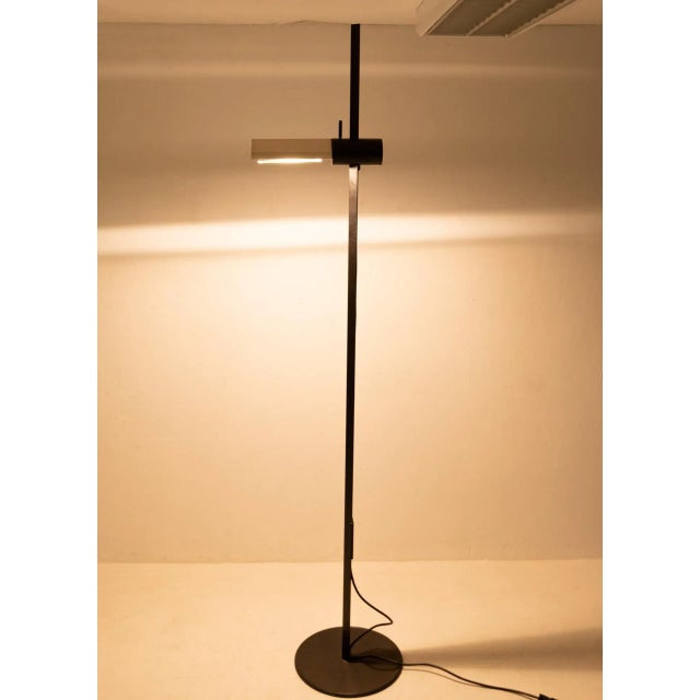 Model Caltha Adjustable Floor Lamp by Gianfranco Frattini for Luci, 1982 For Sale - Image 14 of 15