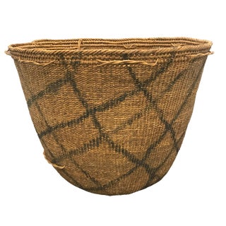 Yanomami Gathering Basket For Sale