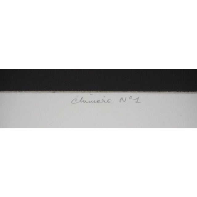 Yves Doaré, Chimera No. 1, Original Etching For Sale - Image 9 of 10