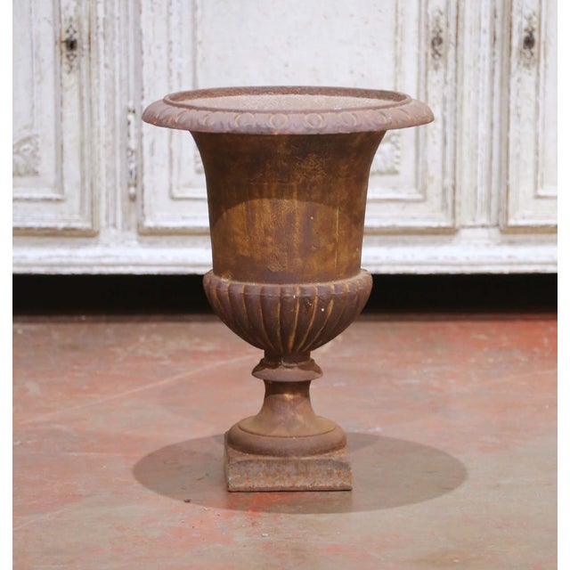 Brown Pair of 19th Century French Cast Iron Medici Urns With Original Patina For Sale - Image 8 of 12