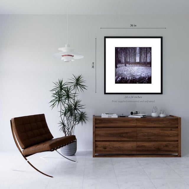 Contemporary Paul Cooklin, Snowy Woodland, Beccles, Suffolk, Edition of 50 For Sale - Image 3 of 5