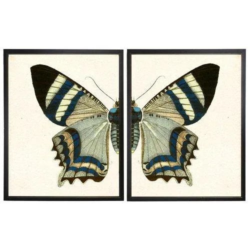 Boho Chic Split Blue and White Butterfly - 46" X 29" For Sale - Image 3 of 3