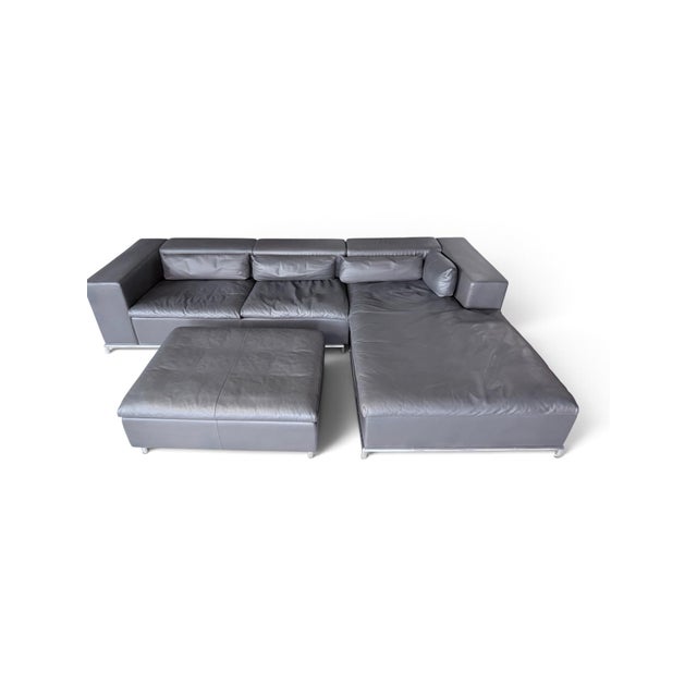 Animal Skin DS-7 Corner Sofa with Ottoman in Grey Leather from de Sede, 2000s, Set of 3 For Sale - Image 7 of 7