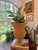 This wicker urn is 16” tall and is a perfect accessory for a beach house or garden room. The wicker is tightly woven and...