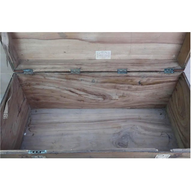 Large Antique 19th Century Camphor Wood Trunk, Hong Kong, 1890s For Sale - Image 10 of 12