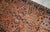 Persian 1920s, Handmade Antique Persian Sarouk Rug 4.1' X 6.4' For Sale - Image 3 of 7