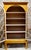 Regency Ochre Astral Glazed Display Cabinet, 1820 For Sale - Image 11 of 12