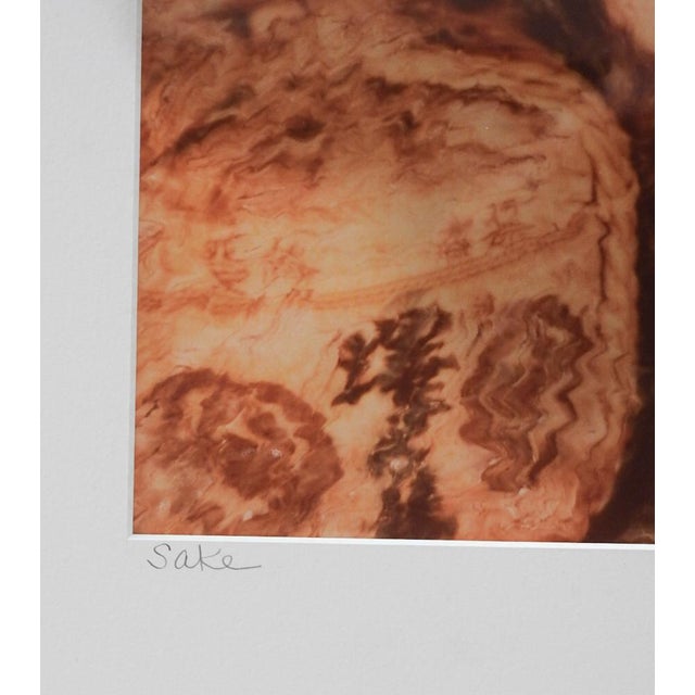 1980 photograph on paper of abstract asian pottery still life by Martin Wax (20th century). Signed, dated and titled...