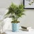 Early 21st Century Maline Footed Pot Large For Sale - Image 5 of 7