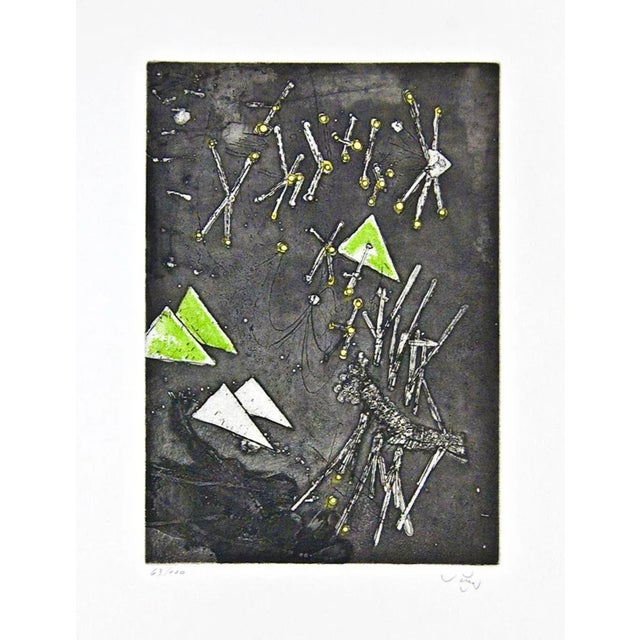 Hand Signed. Colour etching and aquantint. Edition of 100 prints, numbered and hand signed. Excellent conditions.