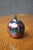 Decorative hand-blown art glass apple by SEA Glasbruk of Sweden. Finished in a striking iridescent luster that shifts...