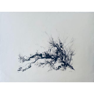 Anna Ticho, German Israeli Expressionist Abstract Bush in Judea Lithograph For Sale