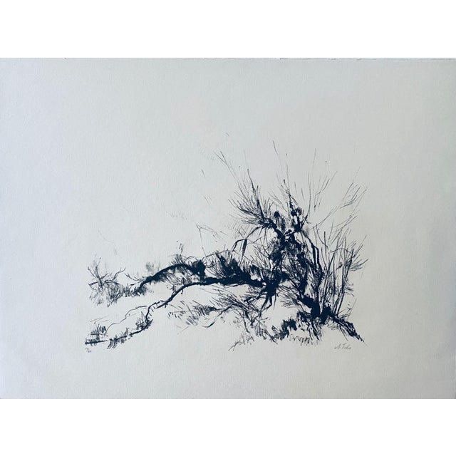 Anna Ticho, German Israeli Expressionist Abstract Bush in Judea Lithograph For Sale