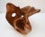 Abstract Free-Form Sculpture of Olive Wood From France For Sale - Image 11 of 12