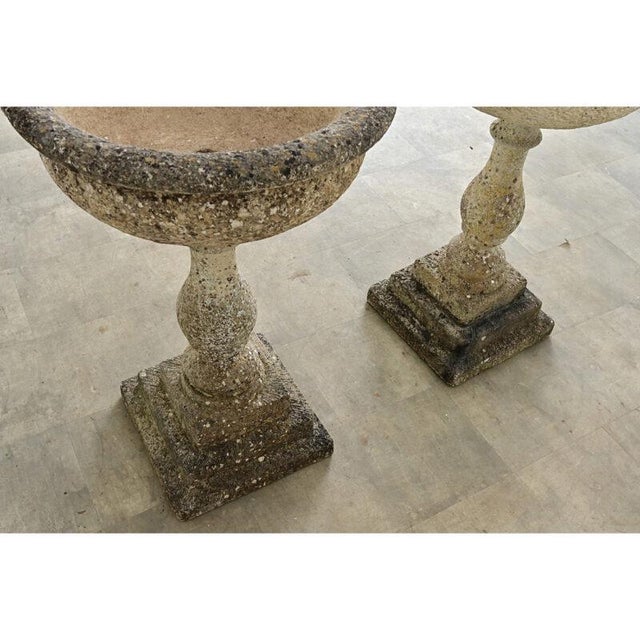 English Pair of 19th Century Cast Stone Planters For Sale - Image 13 of 14