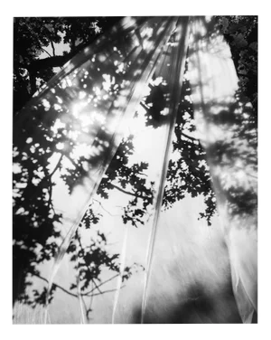 Ugne Pouwell, Daydream, 2022, Photography