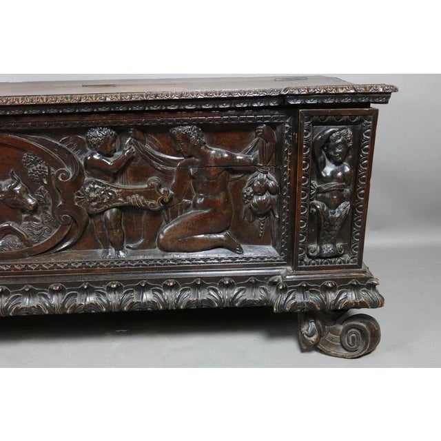 Black Walnut 19th Century Walnut Cassone Chest For Sale - Image 8 of 12