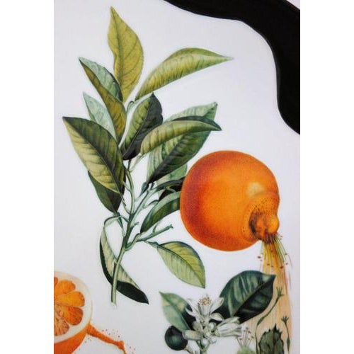 Ceramic Porcelain Grapefruit Plate from Salvador Dali For Sale - Image 7 of 10