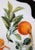 Ceramic Porcelain Grapefruit Plate from Salvador Dali For Sale - Image 7 of 10