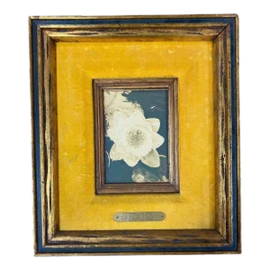1980s Still Life Floral "Water Lily" Oil on Board by James Pasqual Bettio