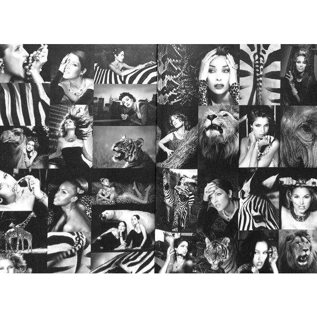 "Cartier Untamed" 1997 Von Zitzewitz, Vanessa For Sale - Image 11 of 11