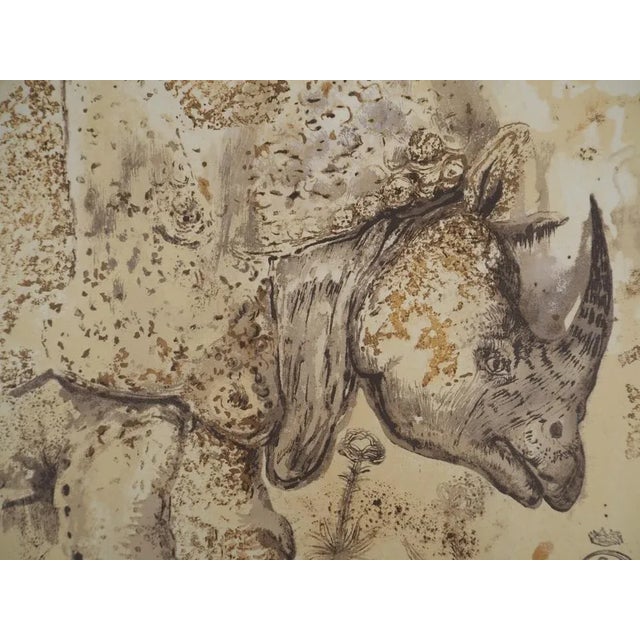 Salvador Dali, Rhinoceros, Homage to Albrecht Dürer, Lithograph For Sale - Image 9 of 10