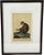 The Maimon, or Pig-Tailed Baboon - An Exceptional 18th-Century Natural History Engraving For Sale - Image 12 of 13