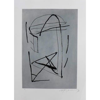 Alberto Rafols-Casamada, Signe i color 2, 1991, Original Etching For Sale