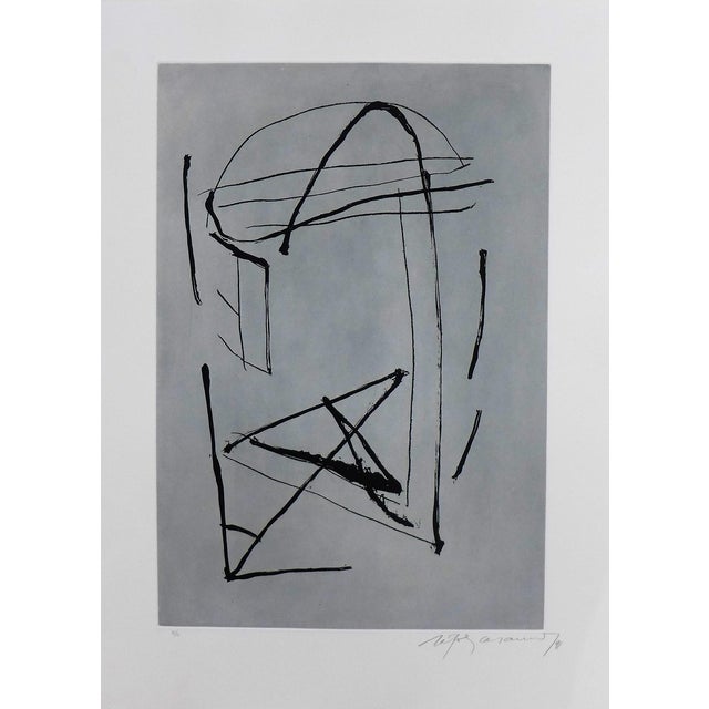 Alberto Rafols-Casamada, Signe i color 2, 1991, Original Etching For Sale
