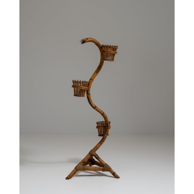 1960s French Amber Bamboo And Rattan Snake Plant Stand For Sale - Image 10 of 15