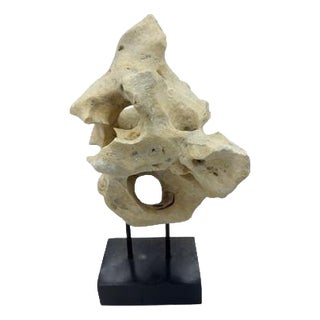 Indonesian Coral Stone On Teak Stand For Sale