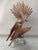 Sergio Castillo Mandiola, Abstract Sculpture, Chile, 1980s, Iron on Granite Base For Sale - Image 3 of 11